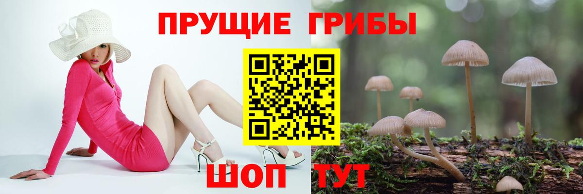 Псилоцибиновые грибы GOLDEN TEACHER  Галлюциногенные грибы мицелий  Вход с VPN  Кашира 